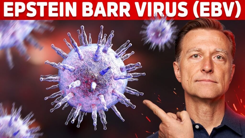 the-5-things-you-must-know-about-epstein-barr-virus-ebv-gadico